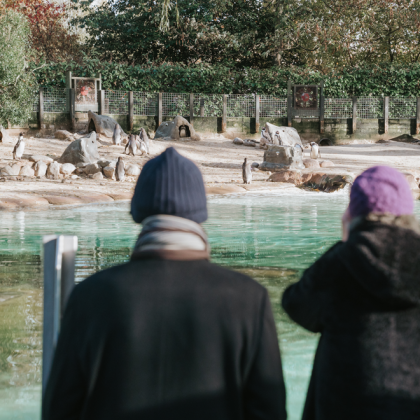 Members Roar with Joy at London Zoo